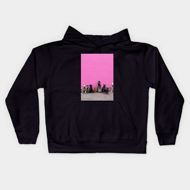 Funny photograph of dogs in a line in front of pink wall in Los Angeles Kids Hoodie by keeplooping